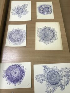 Відбулася виставка творчих робіт слухачів «Університету третього покоління»