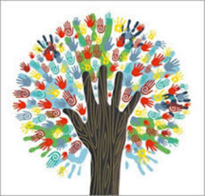 Developing professionalism and capabilities
